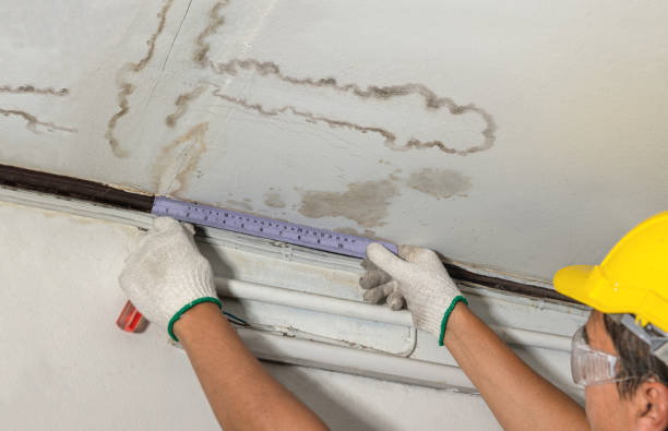 Reliable Basement Water Removal contractor in Luray, VA by Water Damage Irwin